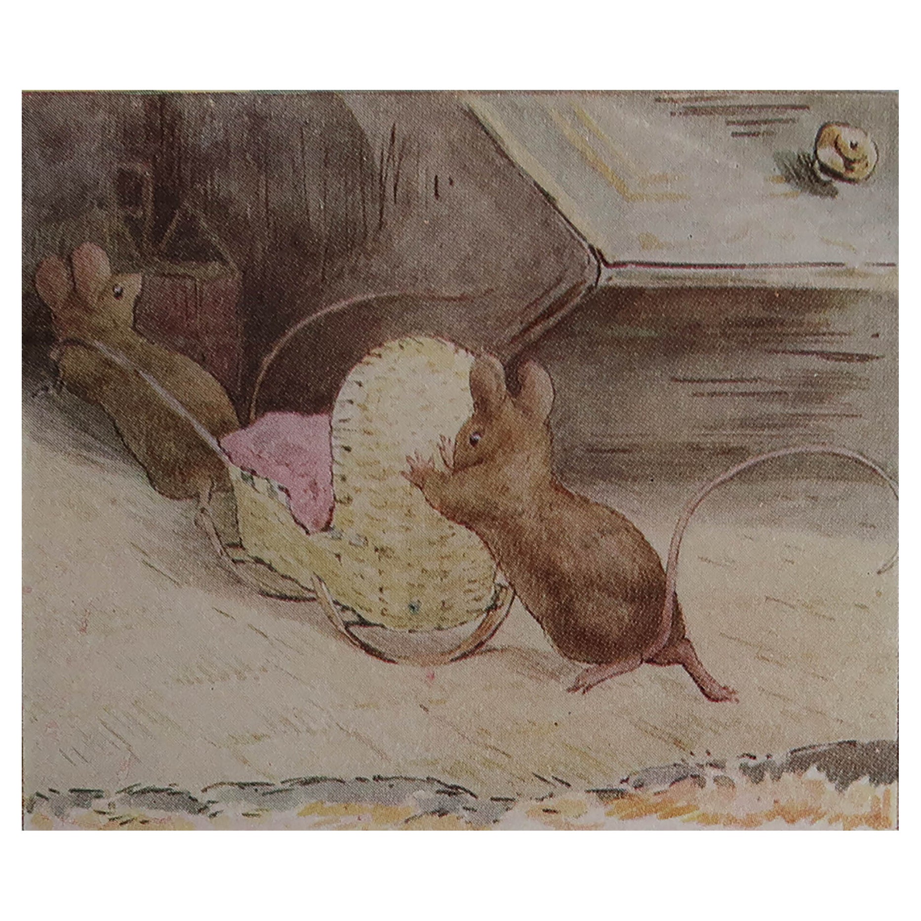 Stampa originale di Beatrix Potter d'epoca. Peters e i suoi amici A.I.C. 1905