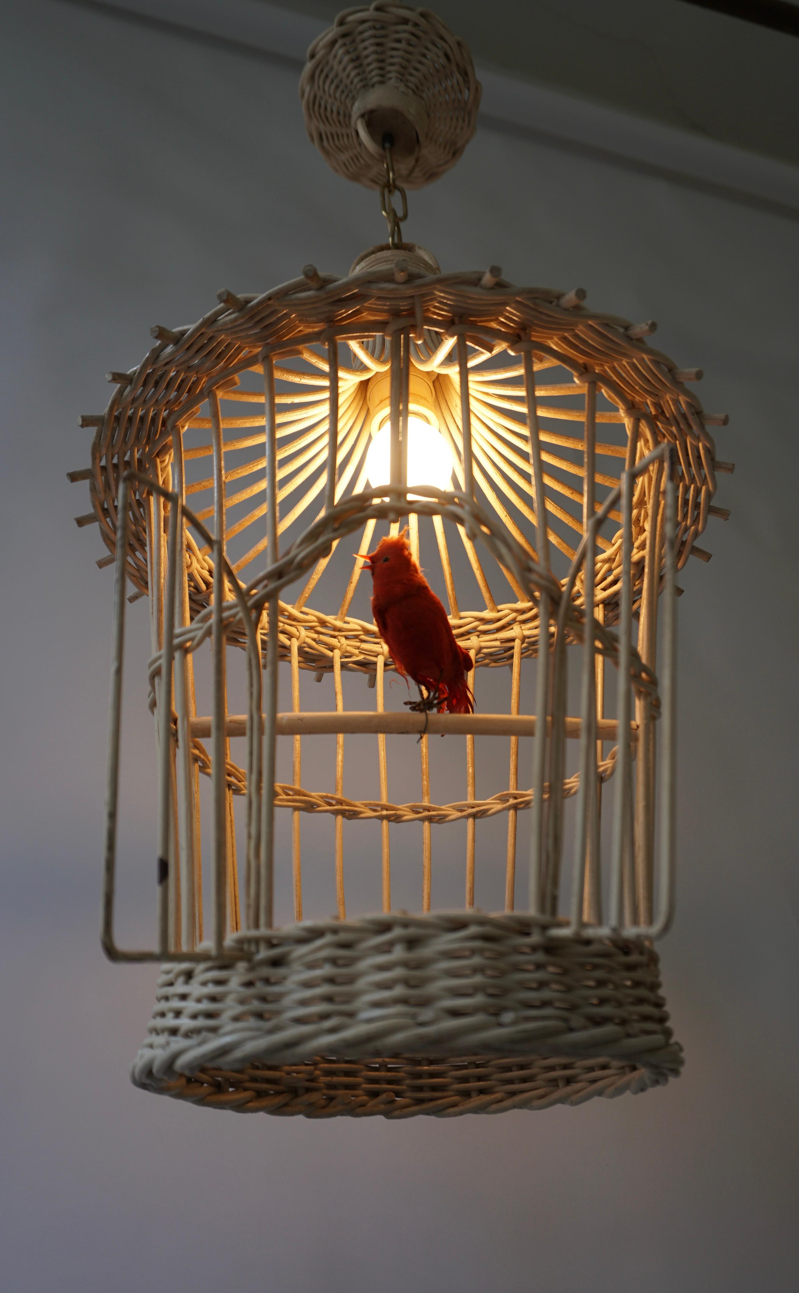 20th Century Original Vintage Birdcage Pendant Lamp in White Rattan For Sale