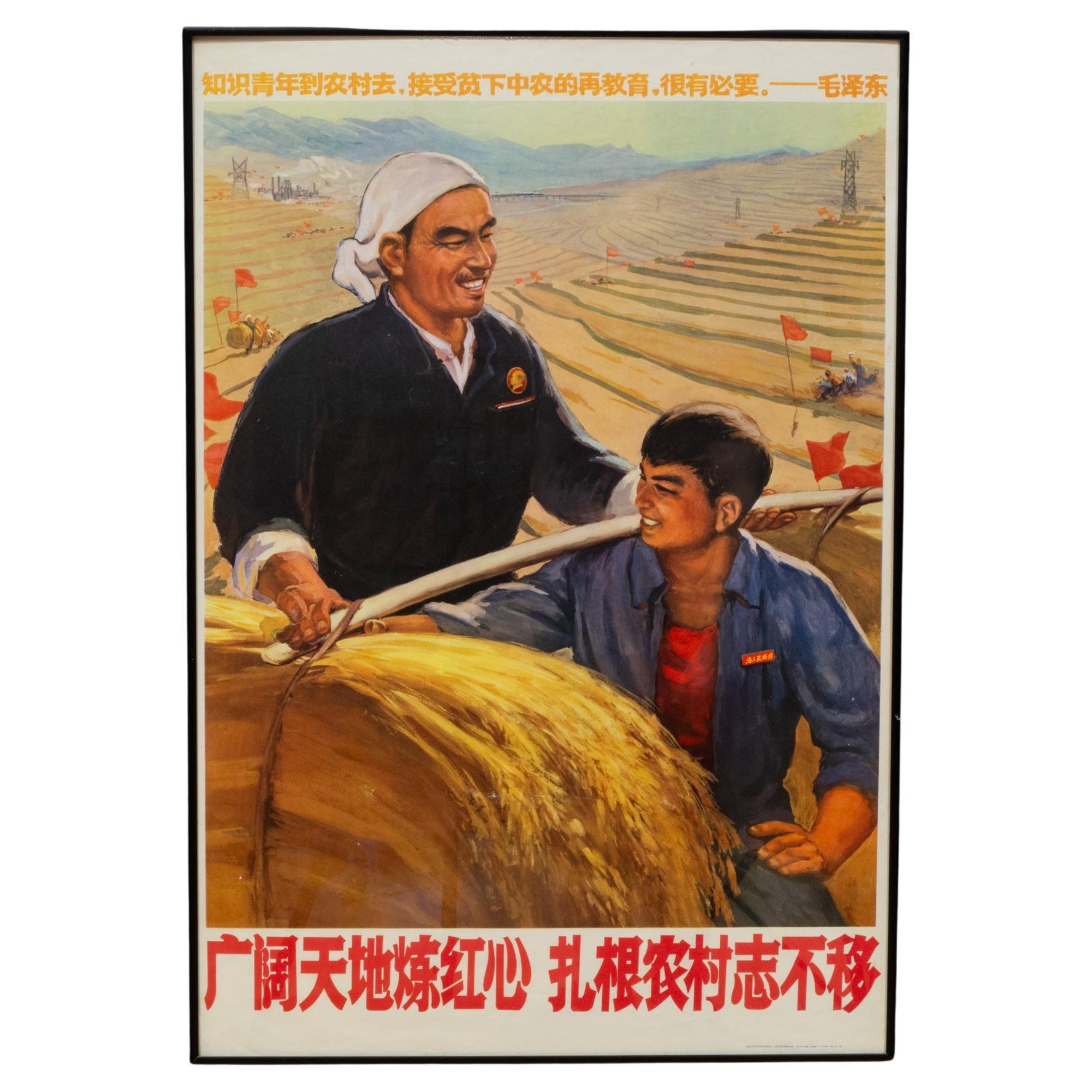 Original Vintage Chinese Propaganda Poster, Determined to Take Roots...1975