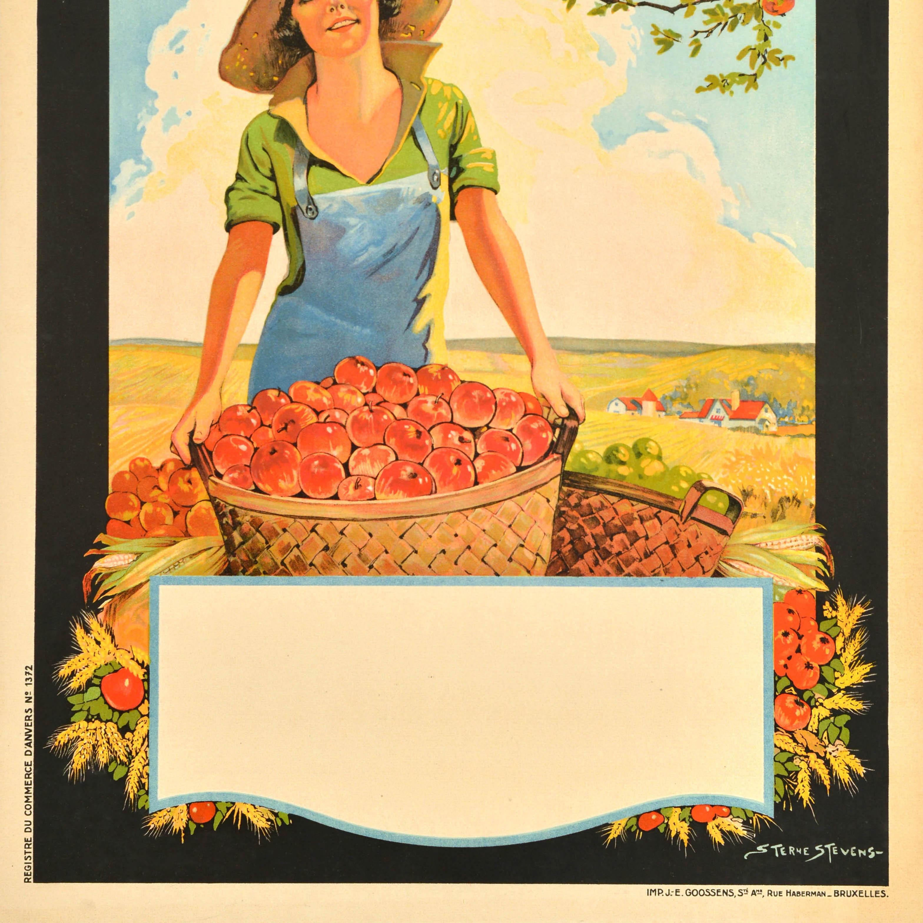 Poster da crociera originale d'epoca Red Star Line Anvers Antwerp Canada In condizioni buone in vendita a London, GB