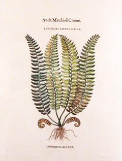 Original Vintage Custom Botanical Fern Prints with Makers Stamp