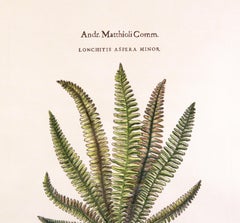 Impresiones originales vintage personalizadas de helechos botánicos con sello del fabricante