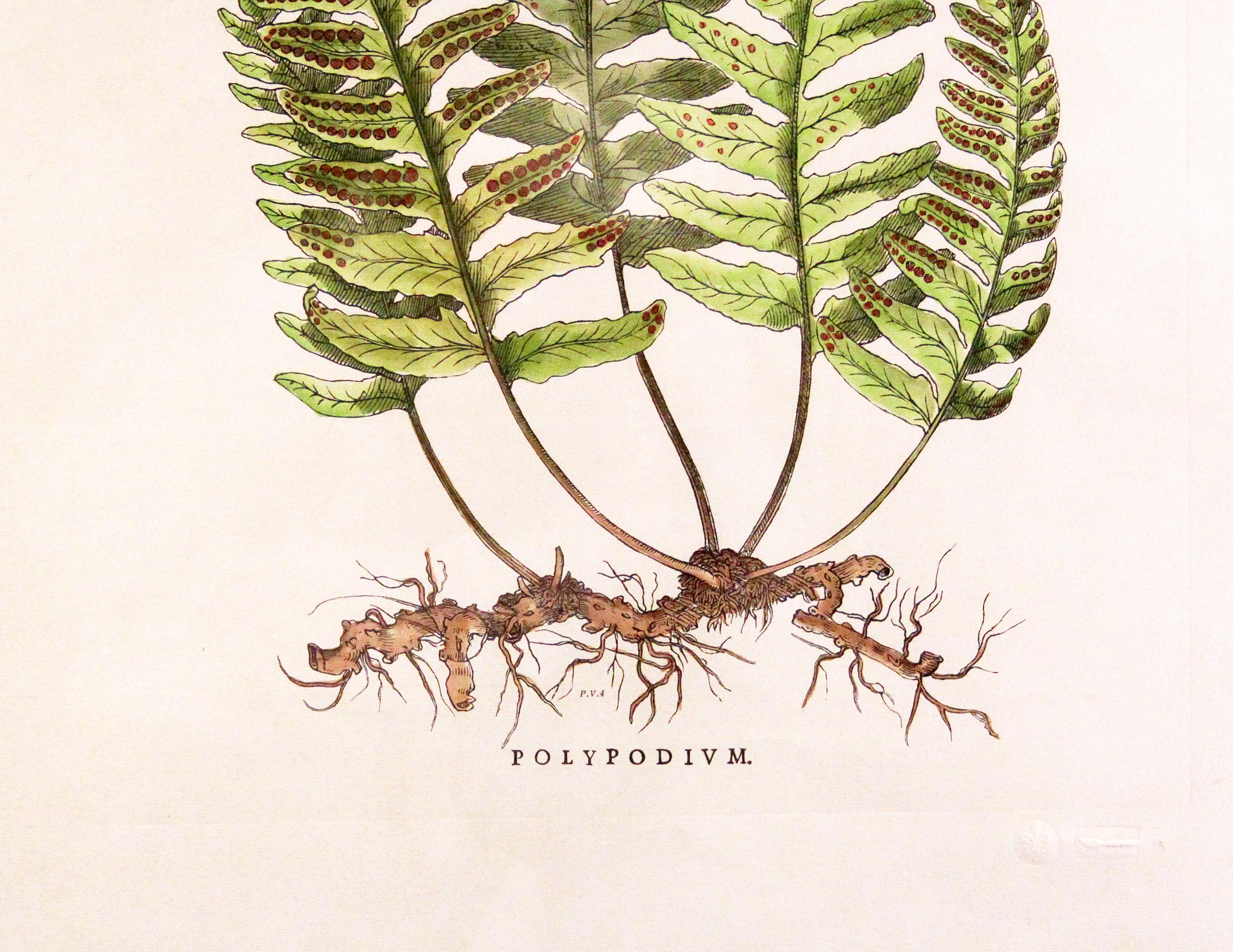 Hand-Crafted Original Vintage Custom Botanical Fern Prints with Makers Stamp For Sale