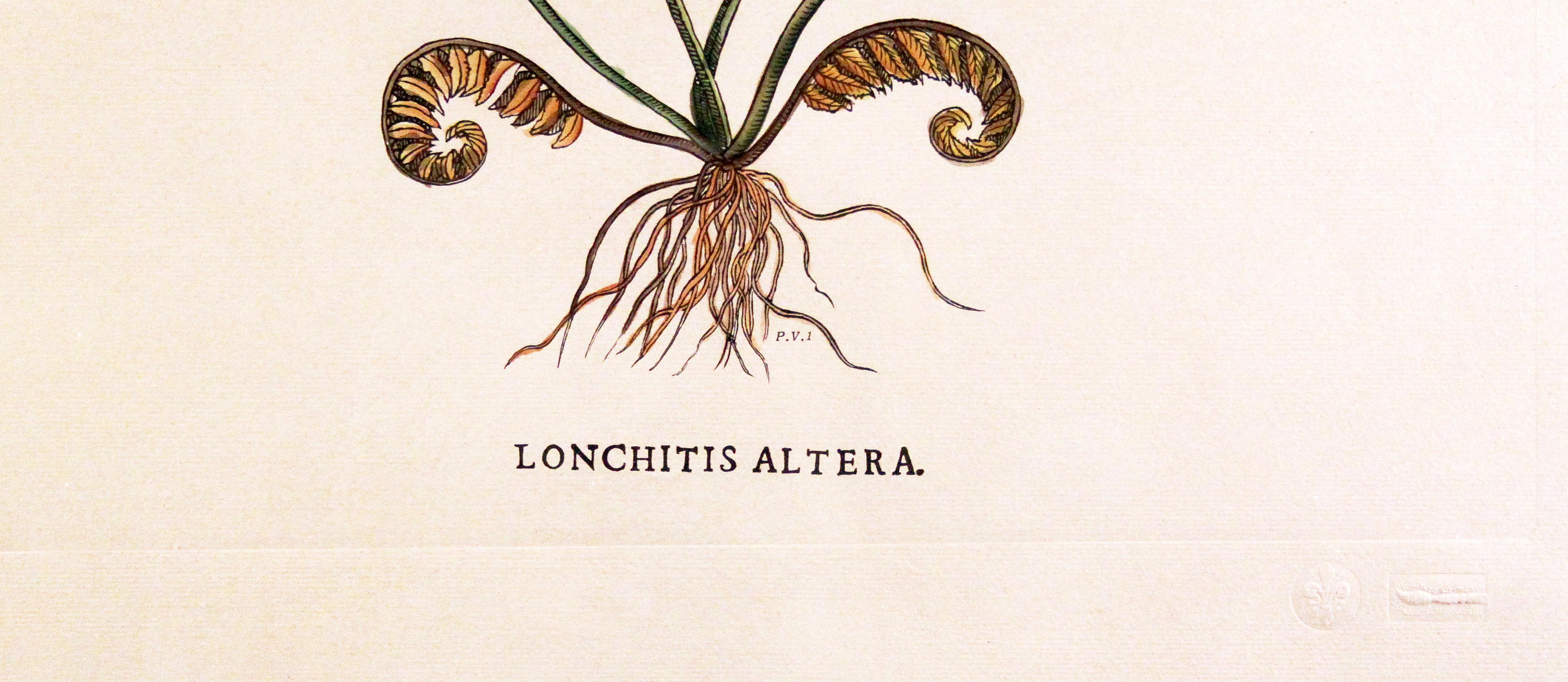 Hand-Crafted Original Vintage Custom Botanical Fern Prints with Makers Stamp