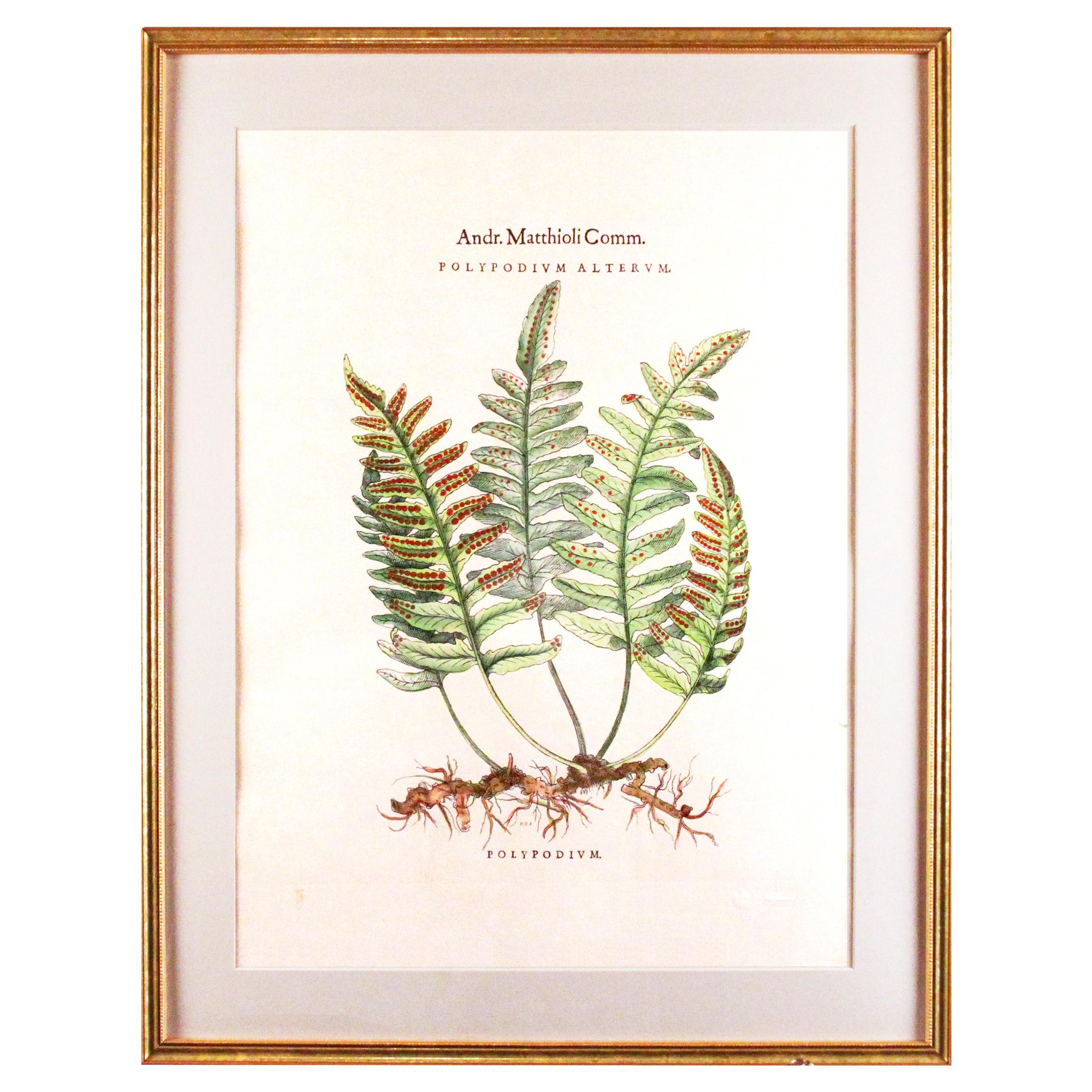 Original Vintage Custom Botanical Fern Prints with Makers Stamp For Sale
