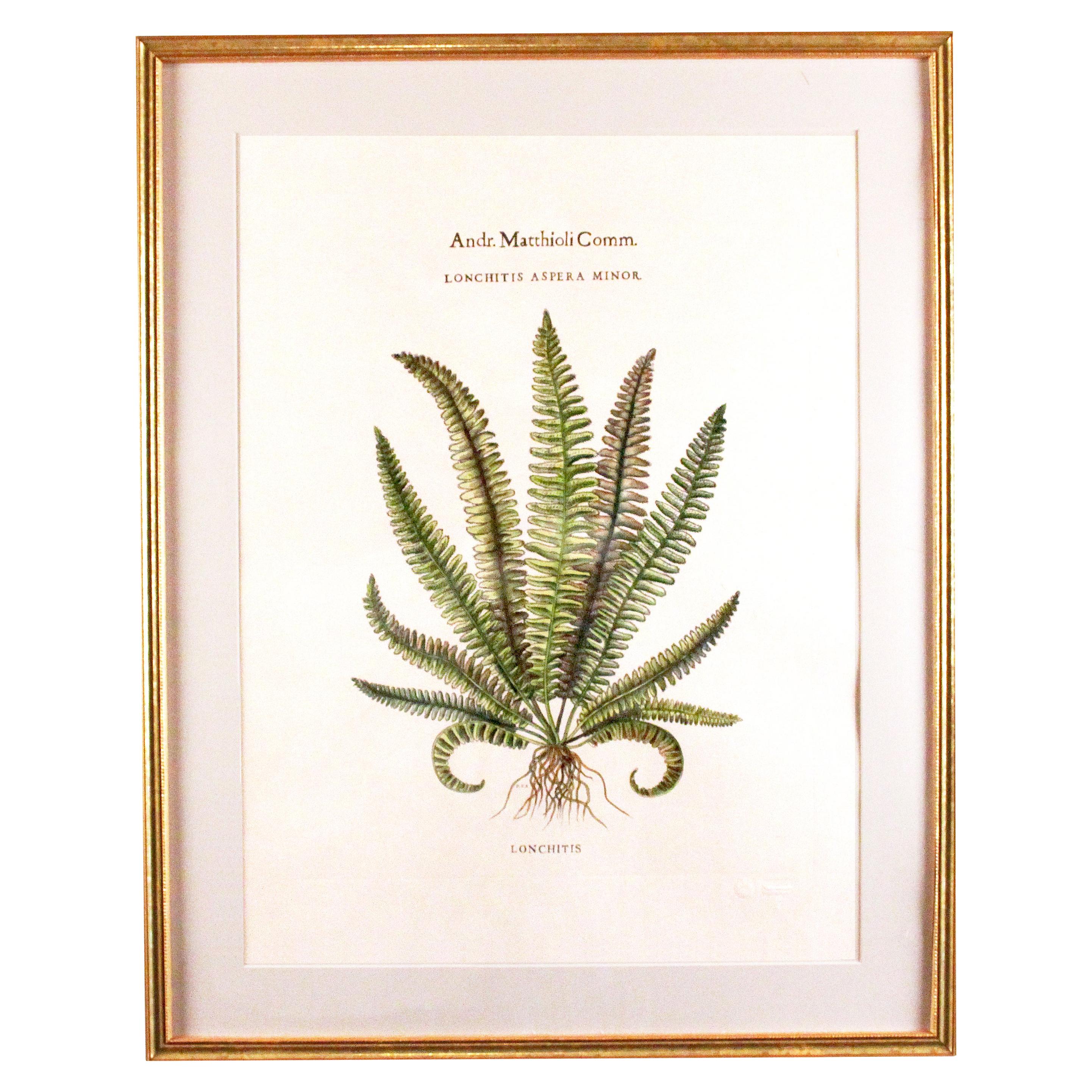 Impresiones originales vintage personalizadas de helechos botánicos con sello del fabricante en venta