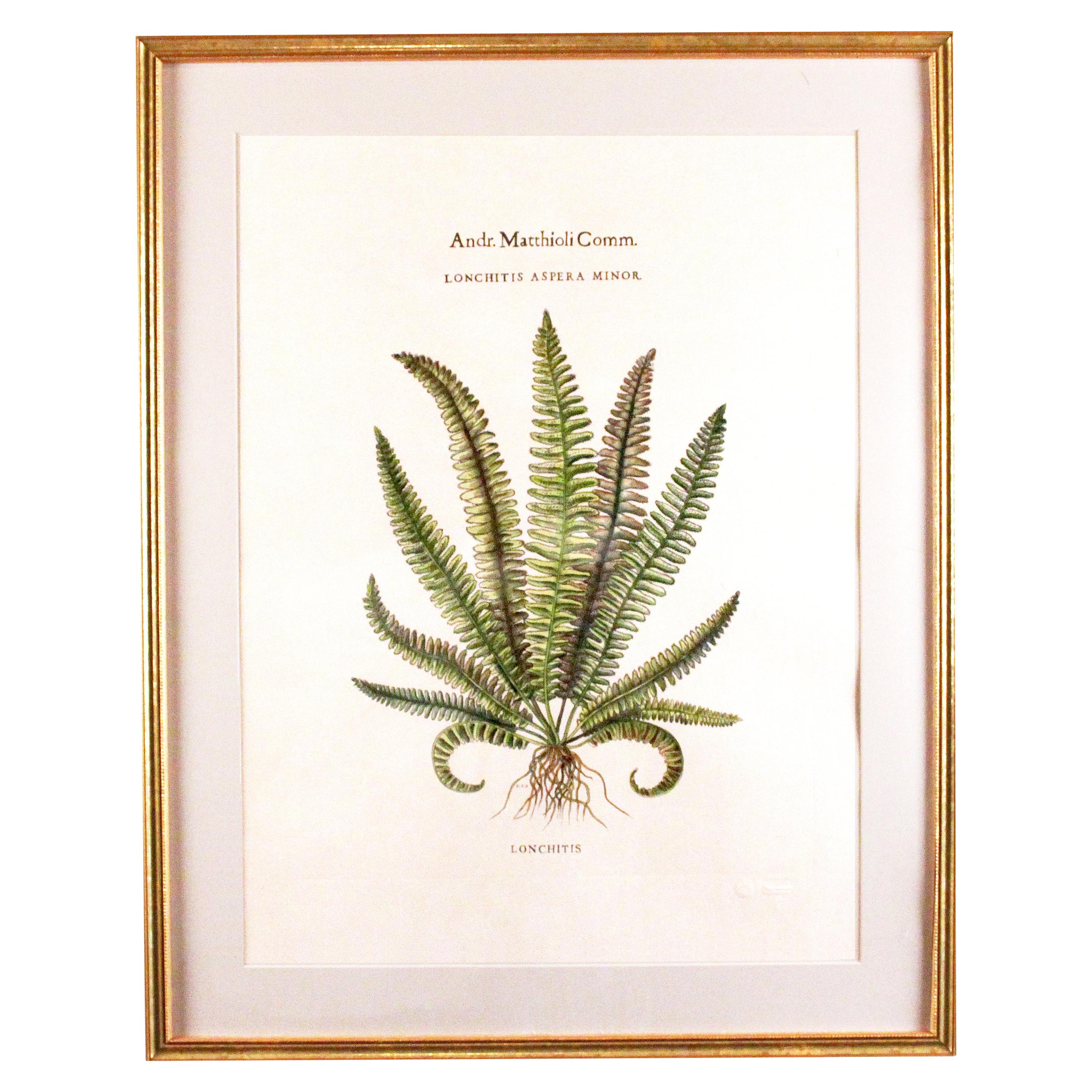 Original Vintage Custom Botanical Fern Prints with Makers Stamp For Sale