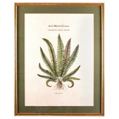 Stampe botaniche personalizzate originali d'epoca con timbro del produttore