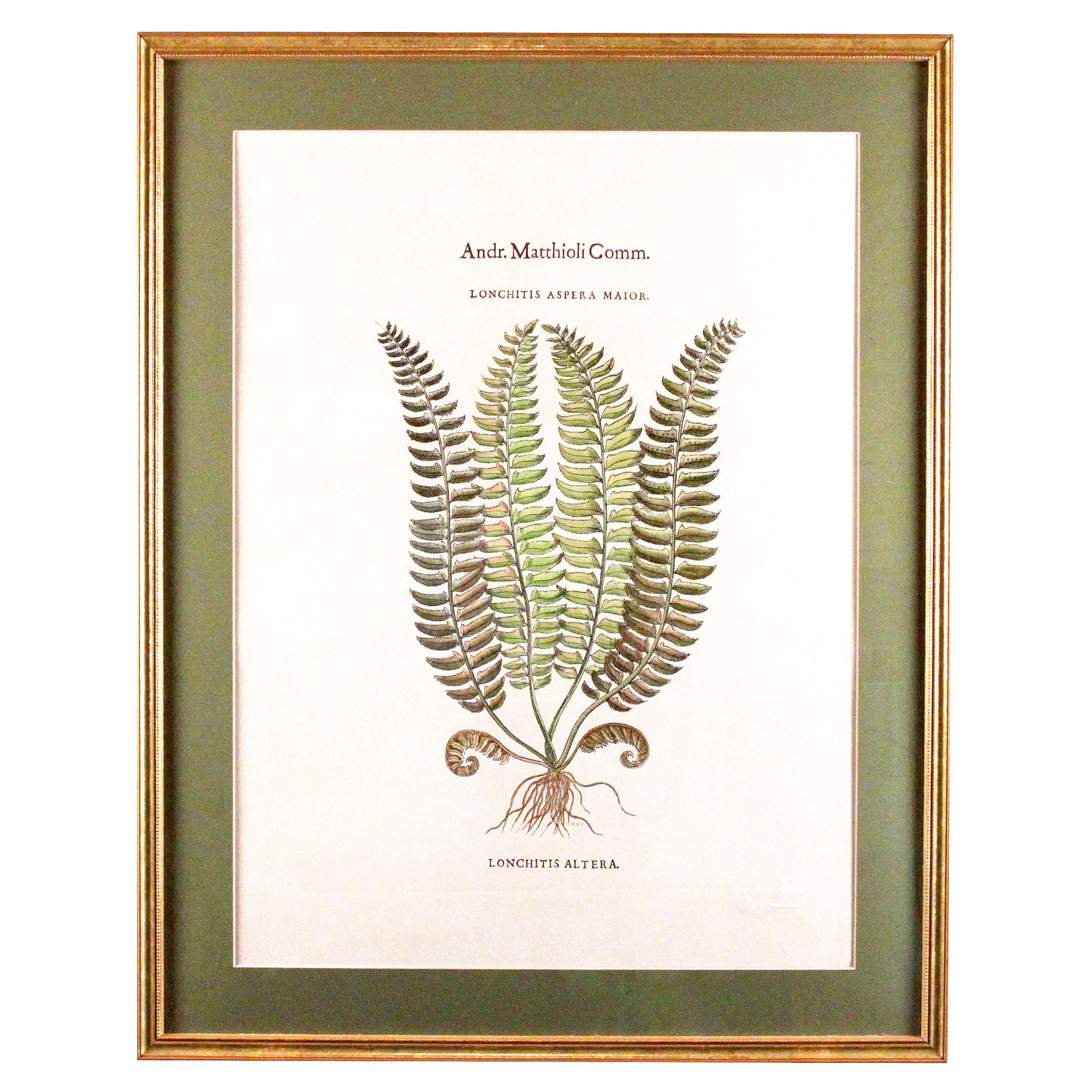 Original Vintage Custom Botanical Fern Prints with Makers Stamp