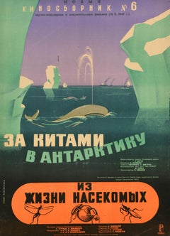 Original Vintage Documentary Film Poster Whales In Antarctica Life Of Insects