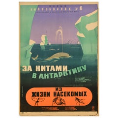 Poster originale di un film documentario d'epoca Le balene in Antartide La vita degli insetti