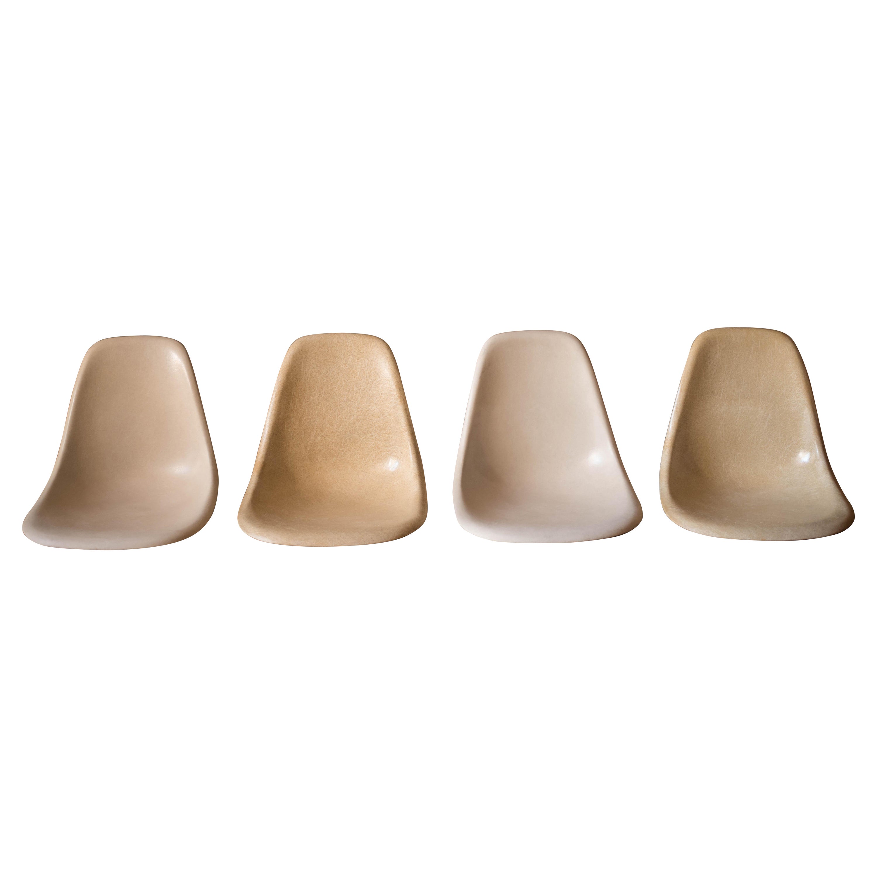 Sillas auxiliares de comedor vintage originales Eames de fibra de vidrio para Herman Miller