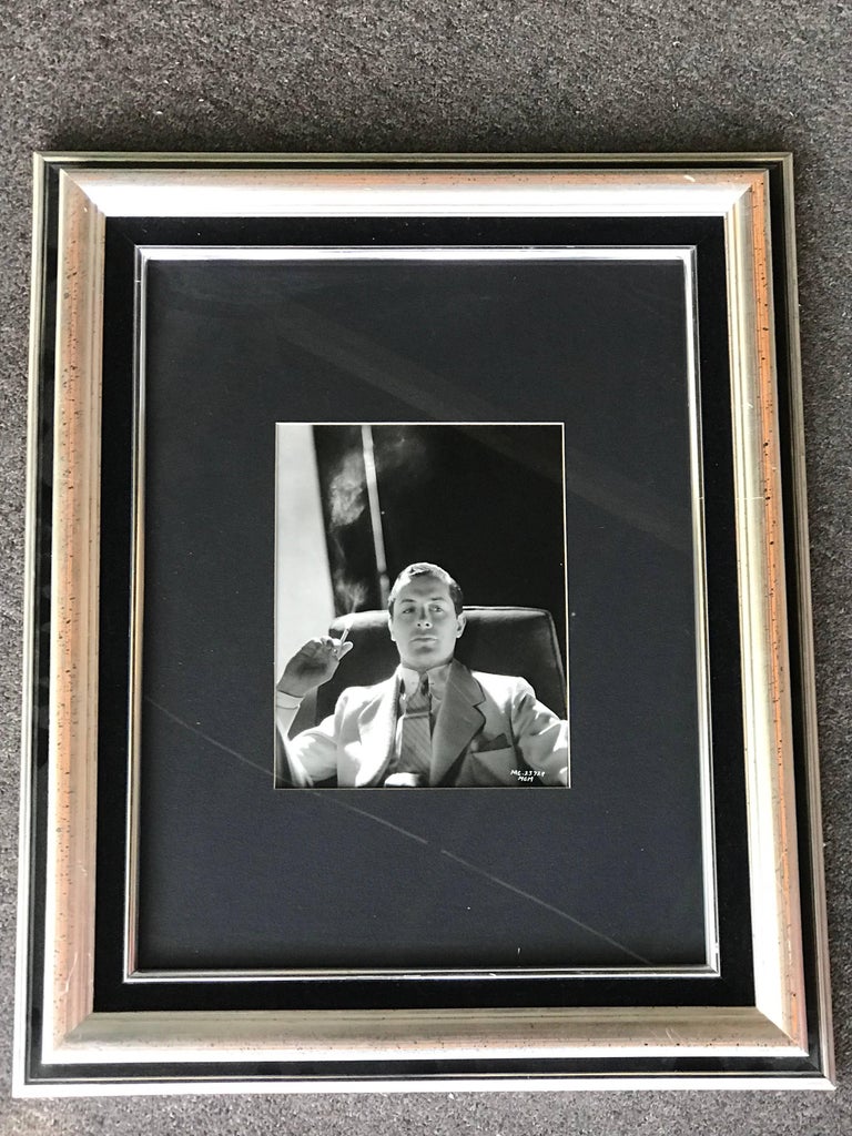 Original Vintage Hollywood Glamour Photograph of Robert Montgomery at Original Vintage Hollywood Glamour Photograph of Robert Montgomery at