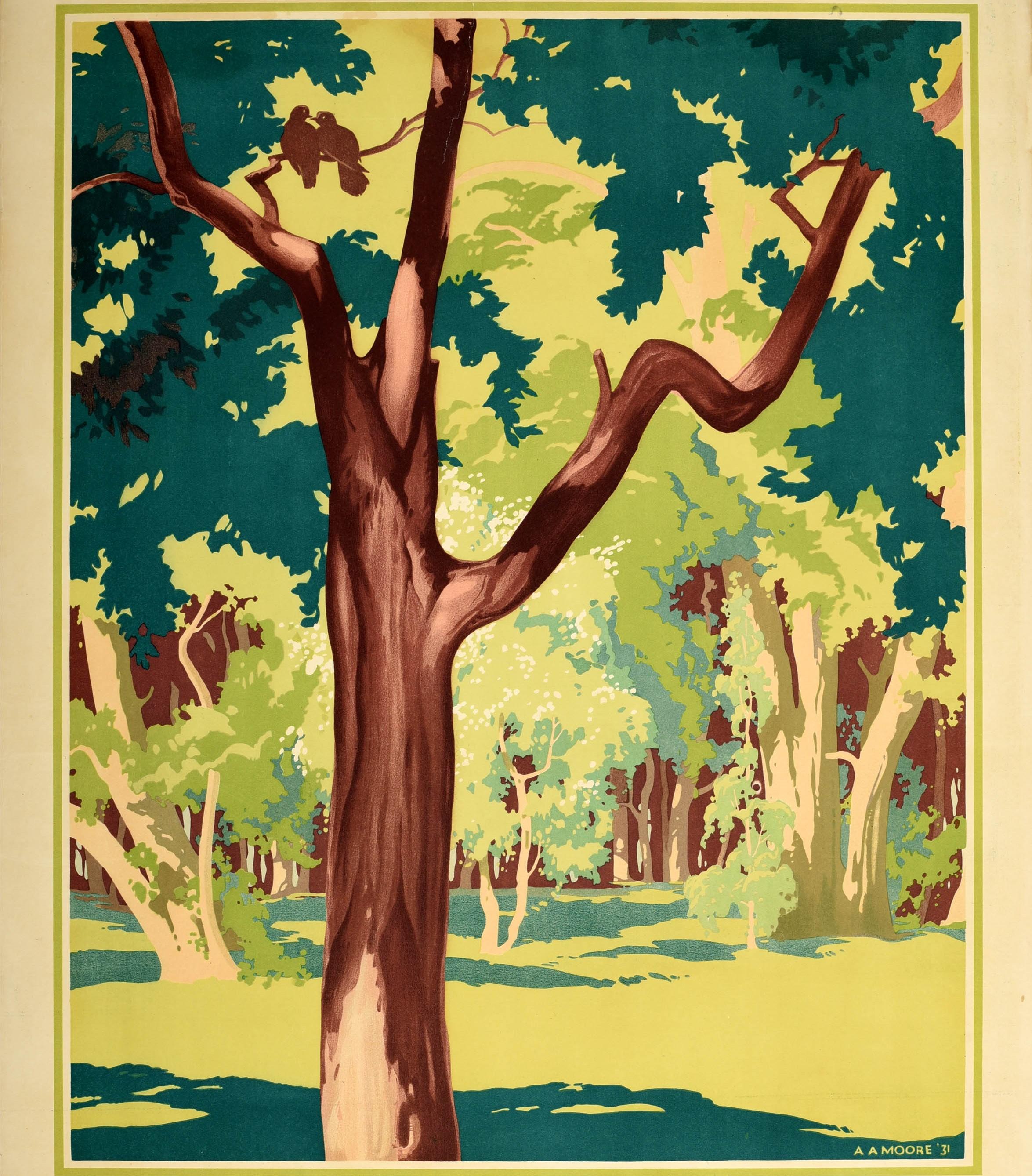 Original vintage London Transport poster featuring a scenic woodland view in the Spring time depicting the light from the sun shining on a clearing of trees casting shadows on the ground with the leaves in different shades of green and the blank