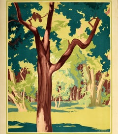 Original Vintage London Transport Poster Spring Forest Art Countryside Woods
