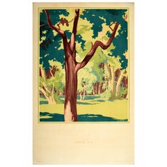 Affiche vintage originale de Londres Transports Spring Forest Art Countryside Woods