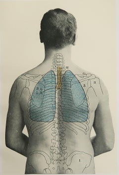 Original Vintage Medical Print, Lungs, C.1900