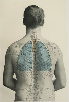 Original Vintage Medical Print, Lungs, C.1900
