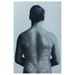 Original Antique Medical Print- Stomach, C.1900
