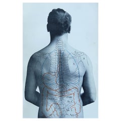 Original Vintage Medical Print- Stomach, circa 1900 Original Antique Medical Print- Stomach, circa 1900