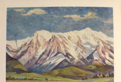 Original Vintage Mission Range Northern Pacific Railway Train Poster Montana USA