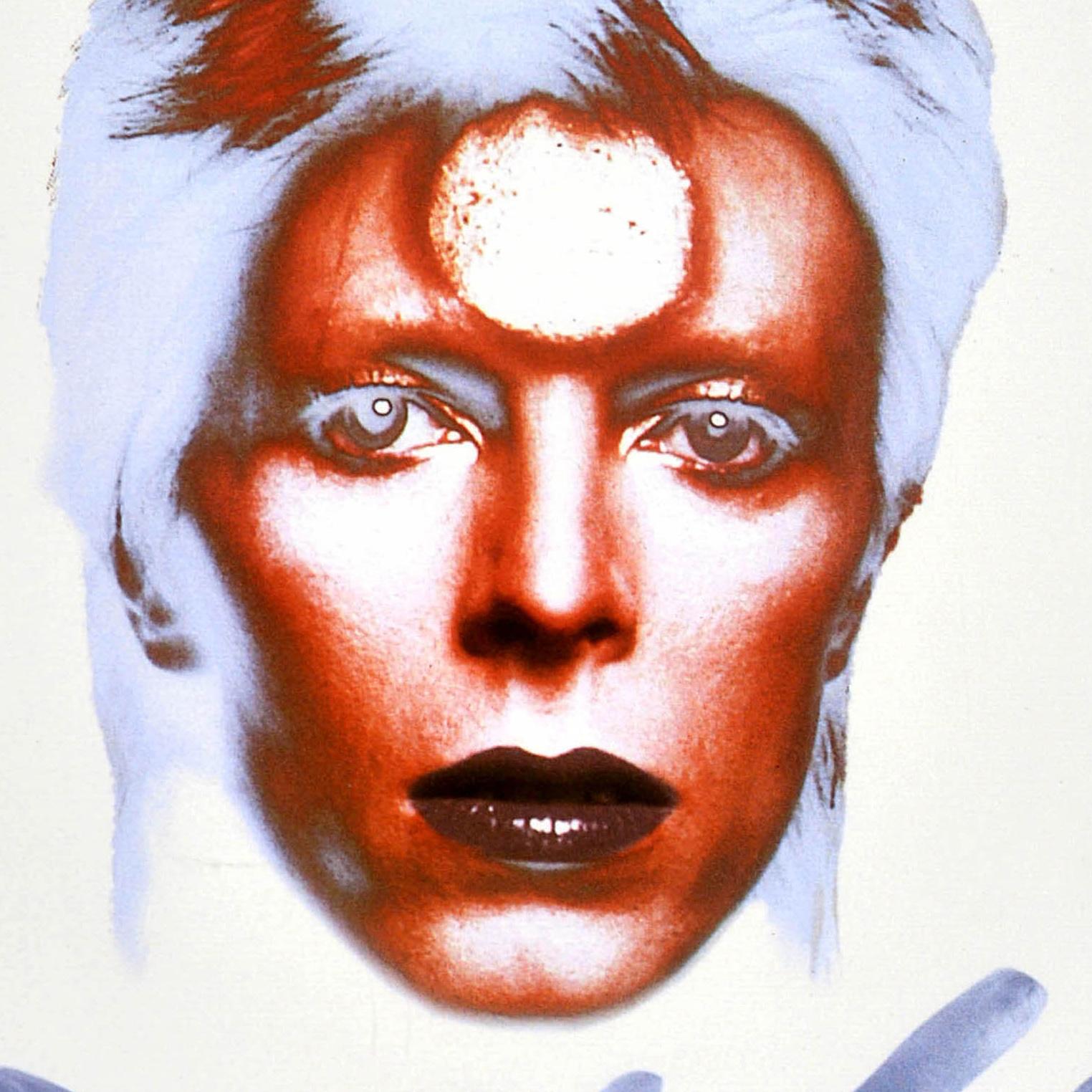 Original Vintage Music Advertising Poster The Best Of David Bowie Ziggy Stardust (Ende des 20. Jahrhunderts) im Angebot