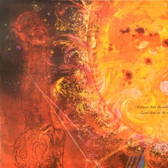 Original Vintage National Academy of Sciences NAS Poster Sun And Earth Danska