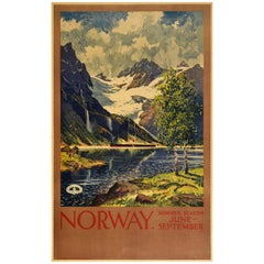 Original Used Norwegian Railway Poster Norway Summer Season Travel Fjord View