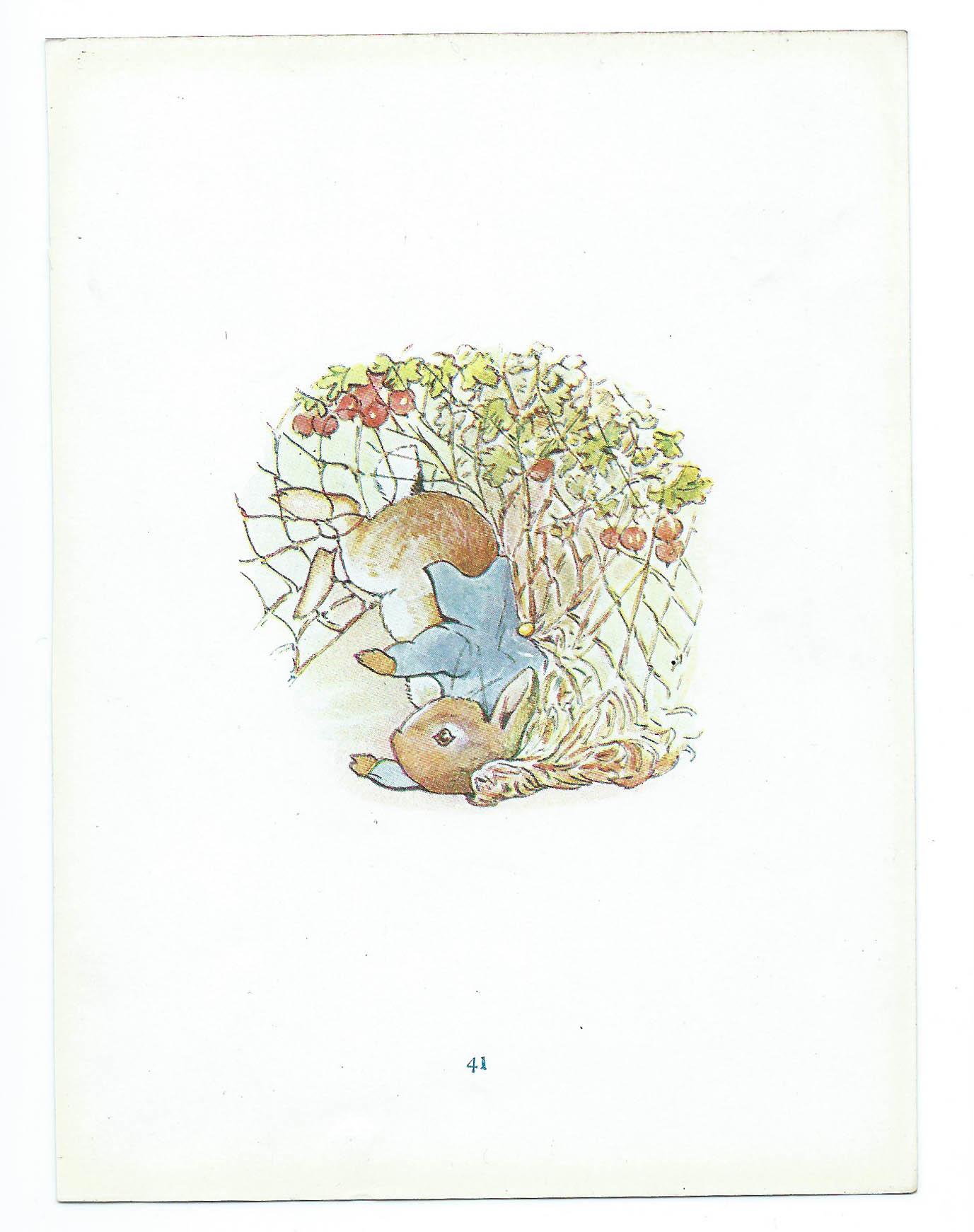 Lovely image by Beatrix Potter

Rescued from an early edition of 