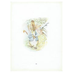Original Antique Peter Rabbit Print After Beatrix Potter. C.1920
