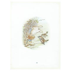 Original Antique Peter Rabbit Print After Beatrix Potter. C.1920