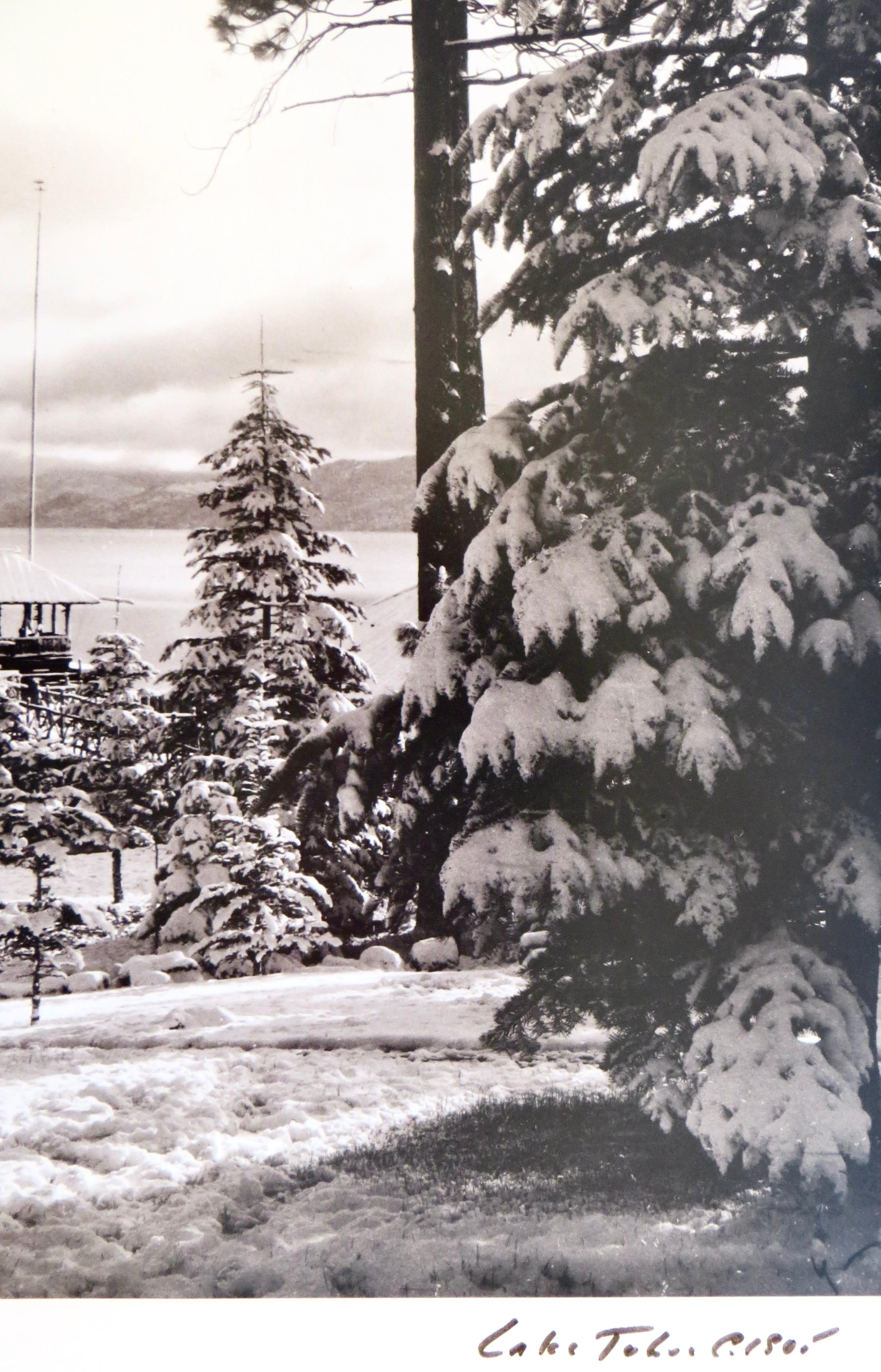 Original-Vintage-Foto von „Lake Tahoe mit Schnee und Bäumen“, amerikanisch, datiert 1905 (Sonstiges) im Angebot