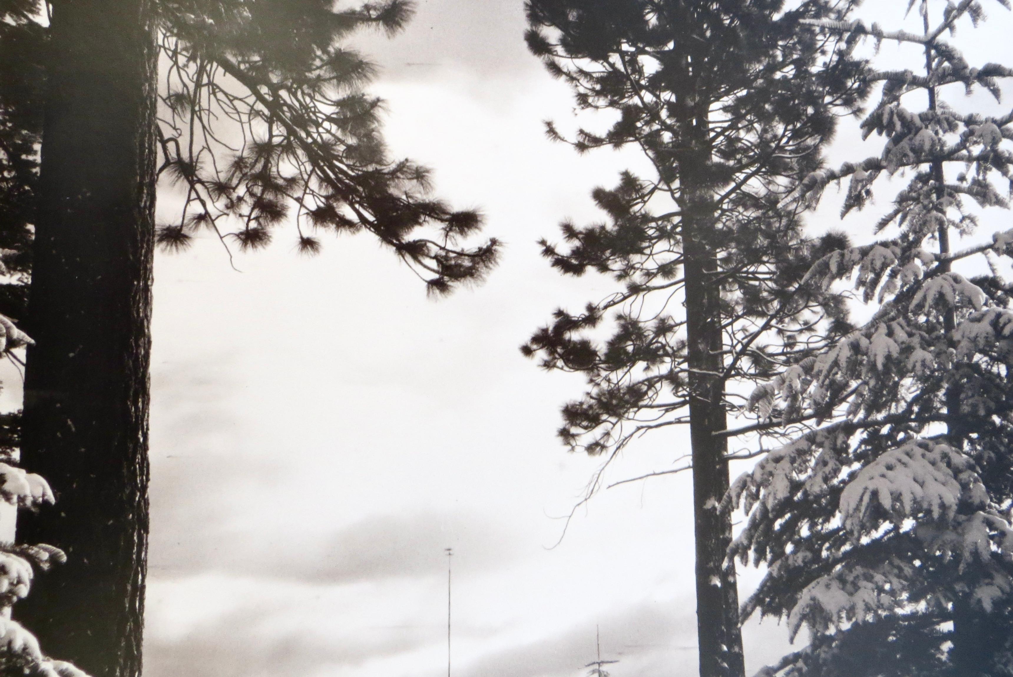 Américain Photo originale de Lake Tahoe avec neige et arbres, américaine, datée de 1905 en vente