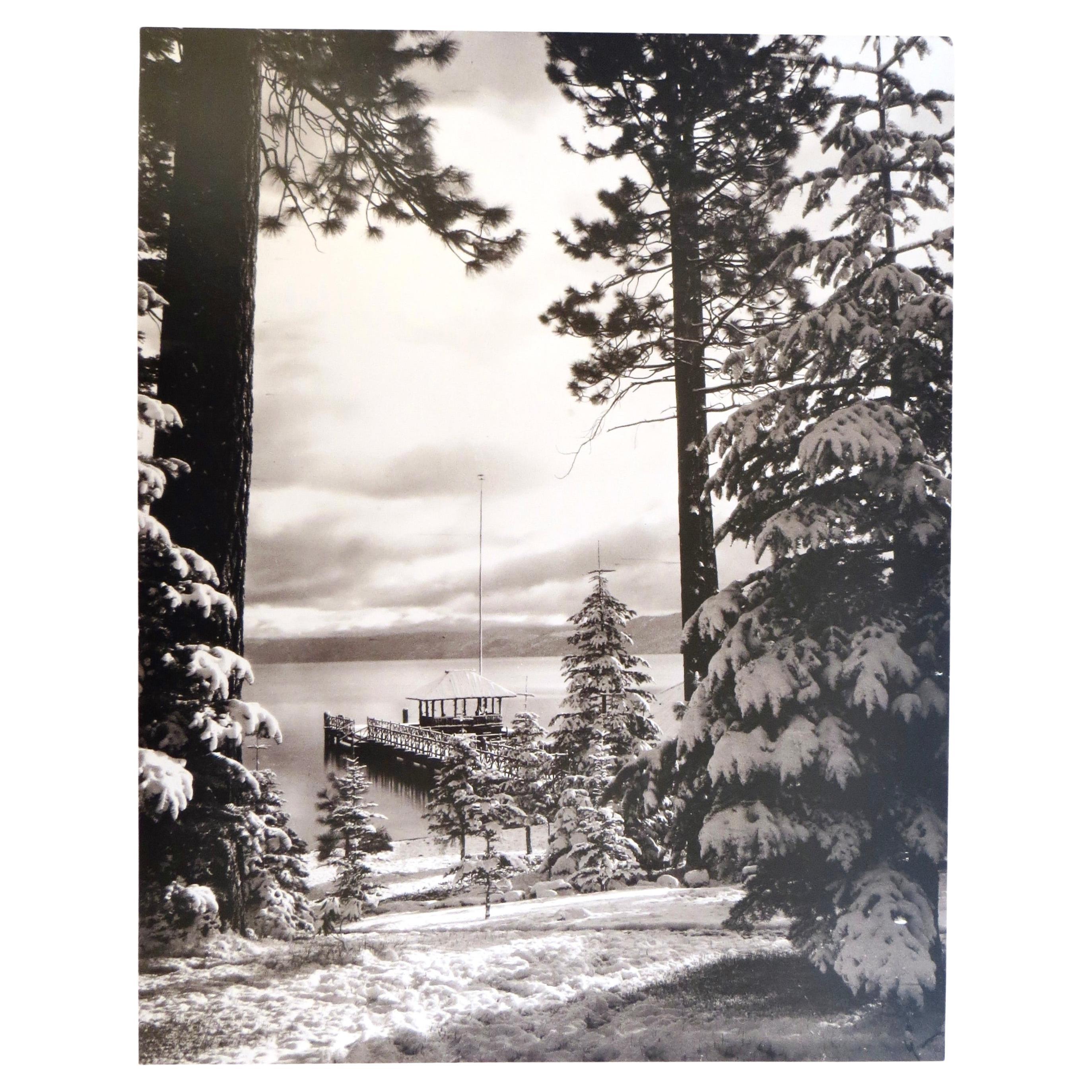 Photo originale de Lake Tahoe avec neige et arbres, américaine, datée de 1905