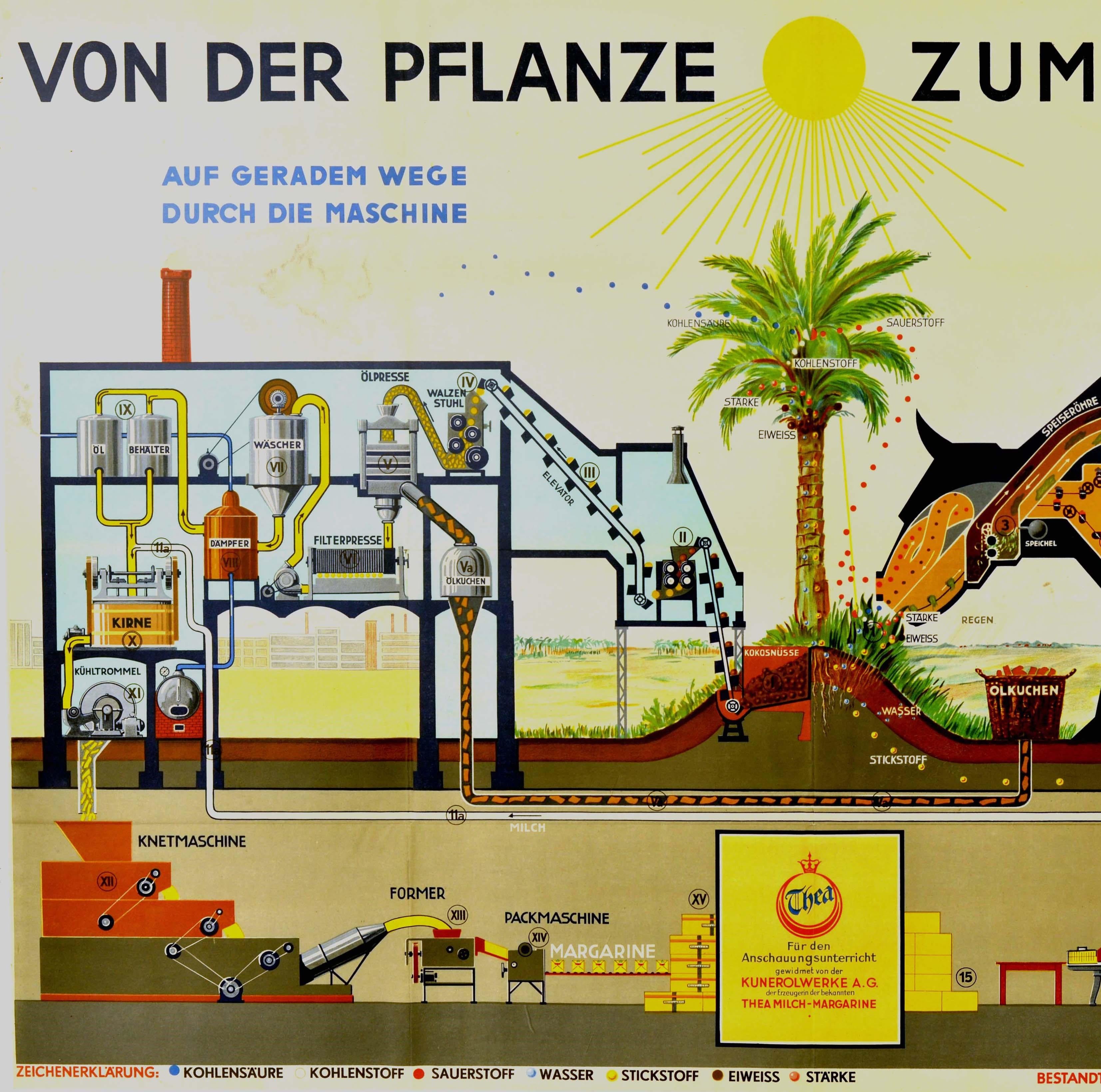 Original vintage poster for an Austrian margarine brand Thea Von der Pflanze zum Nahrfett / From the Plant to Nutritional Fat featuring a diagram similar to the one in the Der Mensch Als Industriepalast / Man As Industrial Palace poster by the