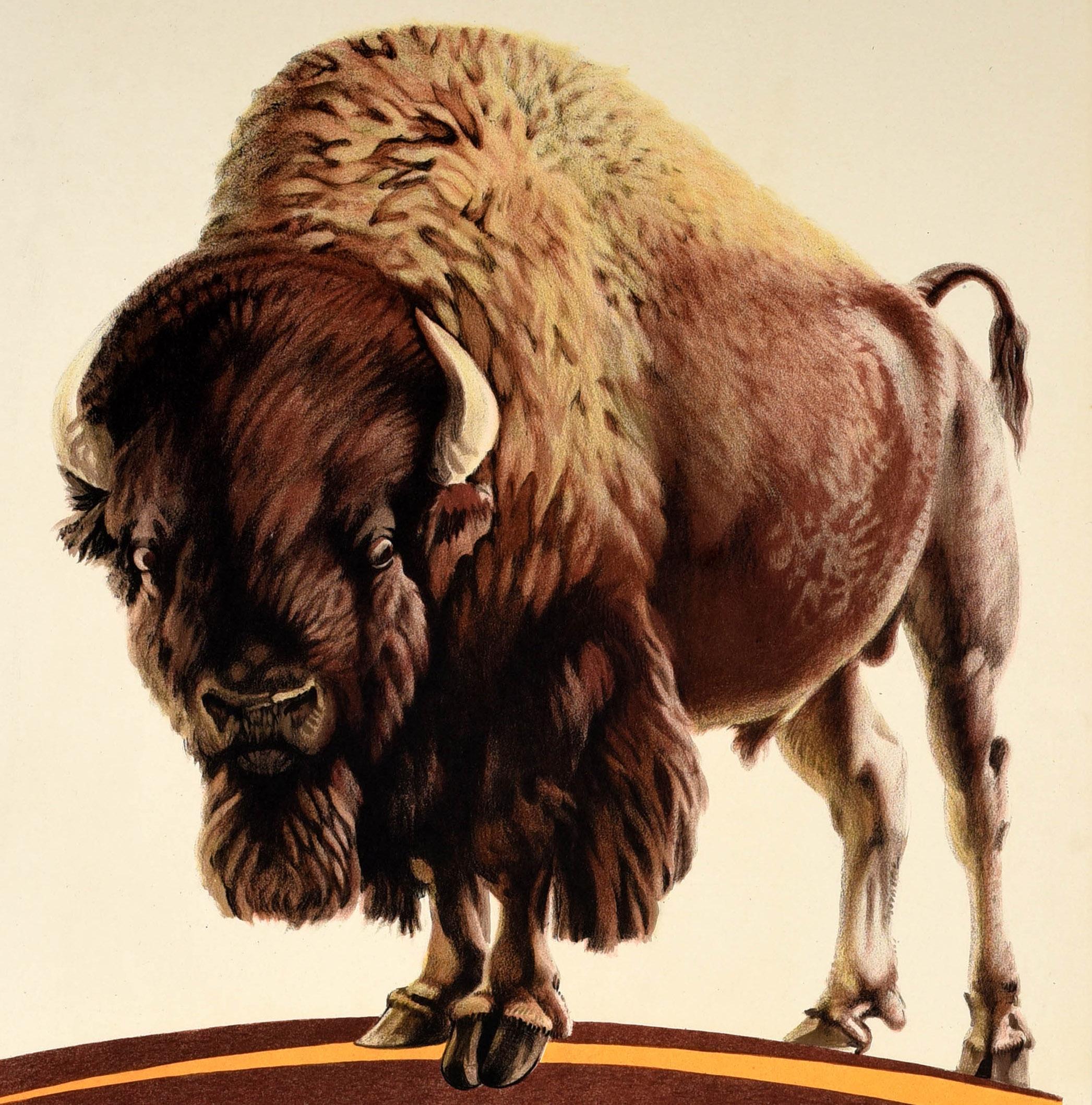 Original vintage advertising poster issued by the Empire Marketing Board EMB - Buy Canadian Apples - featuring a great design by Frederick Charles Herrick (1887-1970) depicting a bison looking at the viewer with the bold lettering and EMB logo