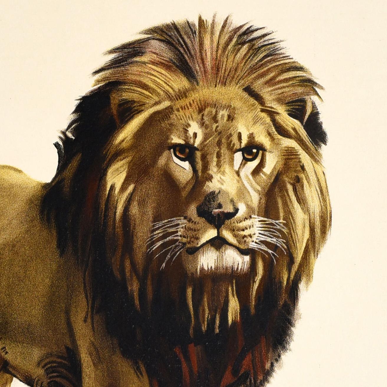 Poster pubblicitario originale d'epoca emesso dall'Empire Marketing Board EMB - Buy Home Produced Cheese - con un grande disegno di Frederick Charles Herrick (1887-1970) che raffigura un leone che guarda l'osservatore con le scritte in grassetto e
