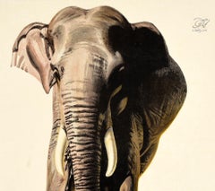 Poster originale d'epoca EMB Indian Rice Empire Marketing Board Elephant Herrick