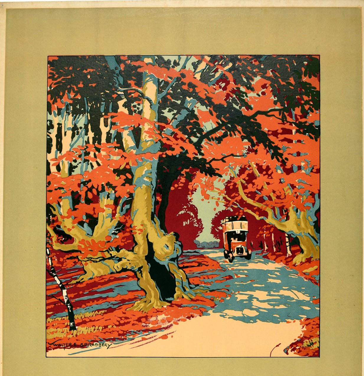 Original vintage London Transport poster for Burnham Beeches by Motor Bus featuring great artwork by the notable British artist Walter E. Spradbery (1889-1969) of an iconic red London bus driving towards the viewer along a road lined with autumn