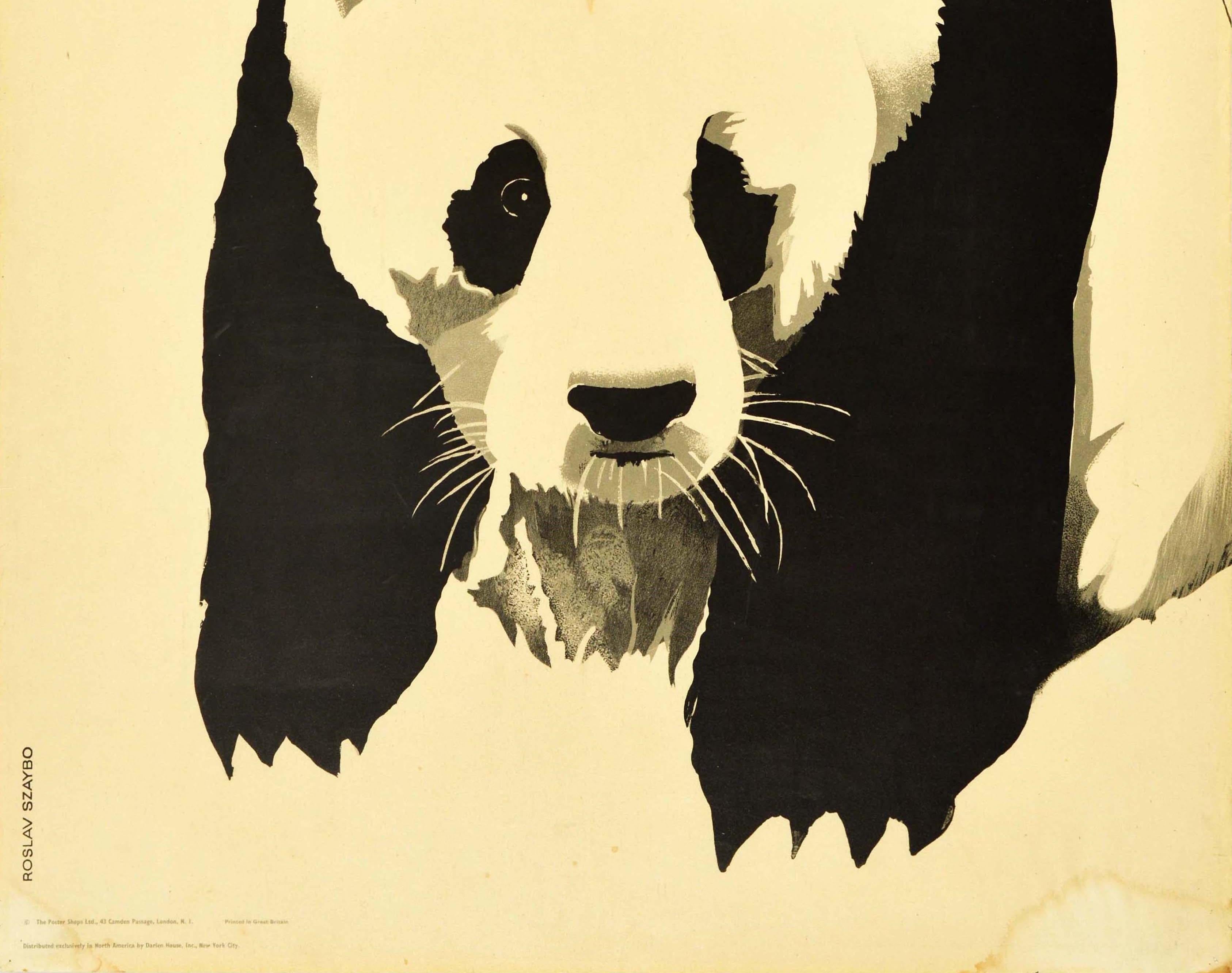 london zoo panda