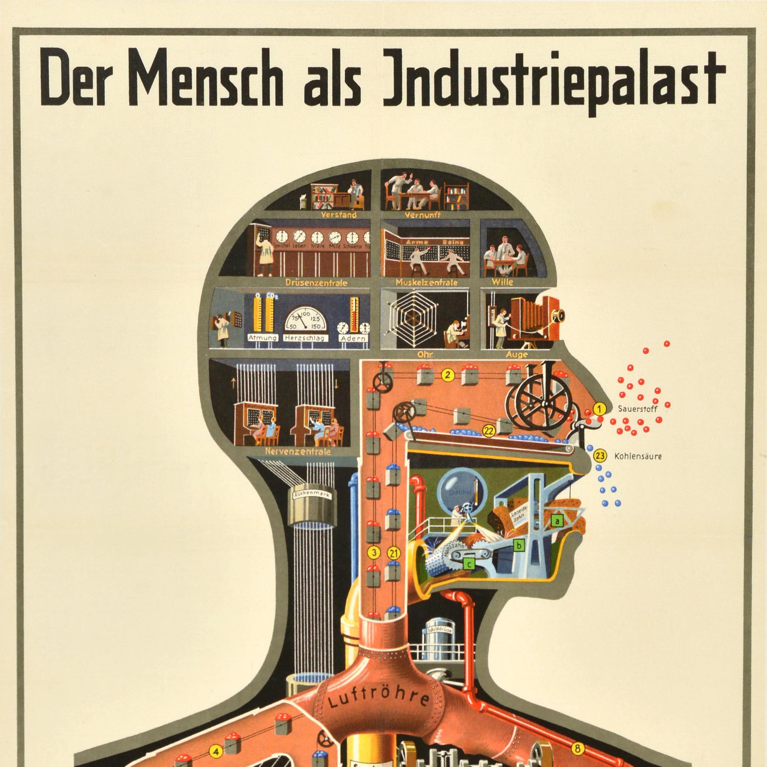 Originales Vintage-Plakat für die grafische Analogie - Der Mensch Als Industriepalast - des deutschen Arztes, Wissenschaftlers und Illustrators Fritz Kahn (1888-1968). Fantastisches Industriedesign mit einem menschlichen Torso, bei dem die normalen