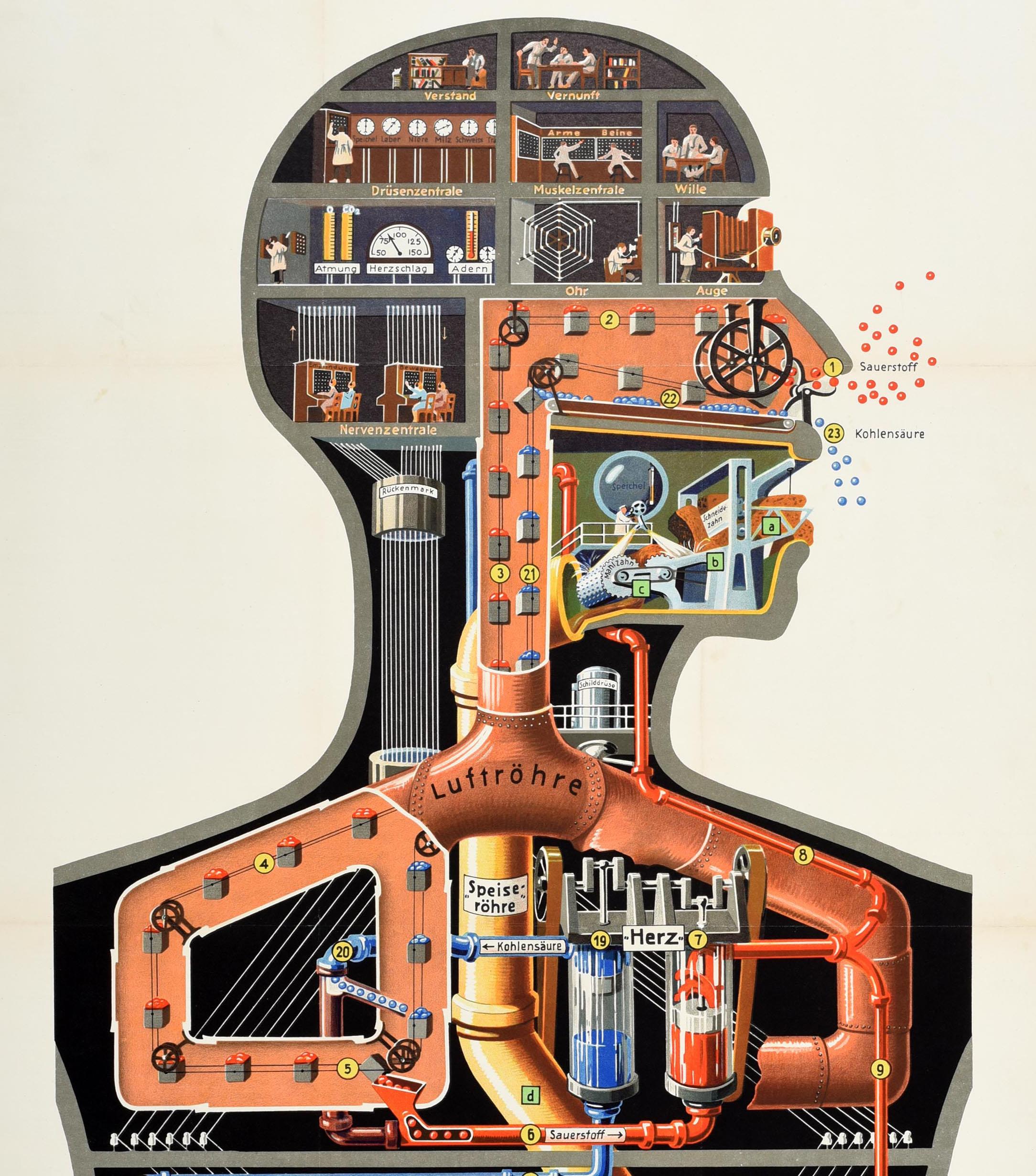 Original vintage poster for the graphic analogy - Der Mensch Als Industriepalast / Man As Industrial Palace - by the German physician, scientist and illustrator Fritz Kahn (1888-1968). Fantastic industrial design featuring a human torso with the