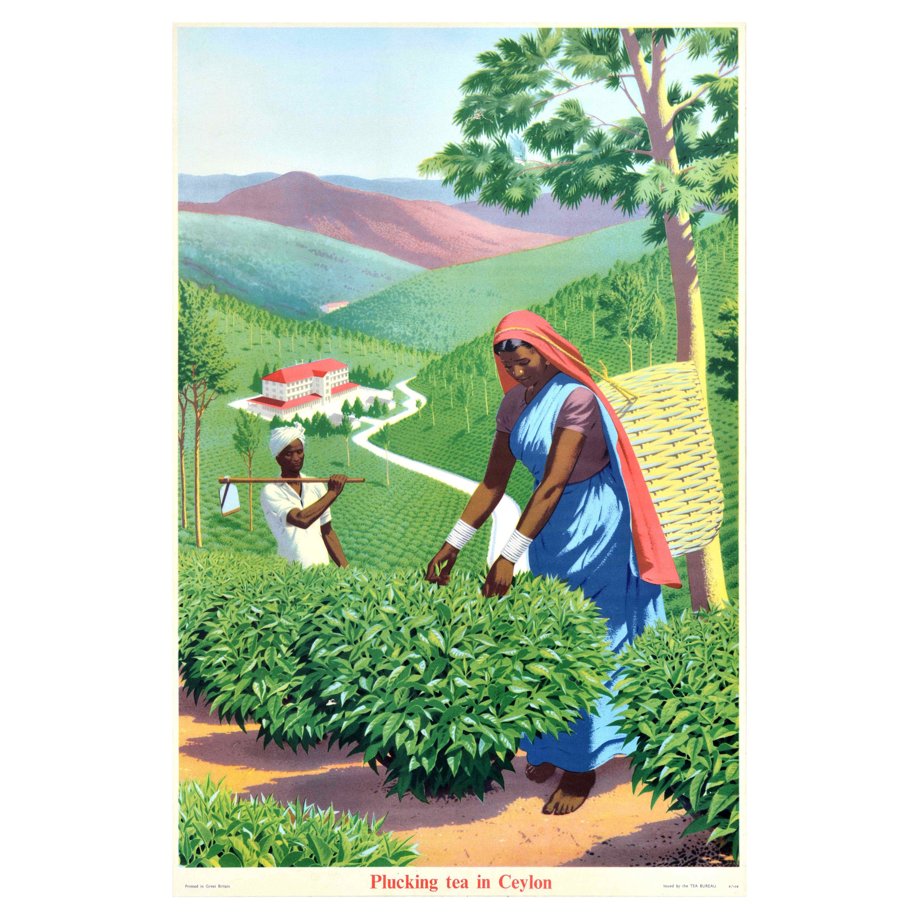 Affiche rétro originale, Théière s
écoulant dans une plantation de Ceylan, Sri Lanka, Bureau du thé