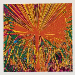 Raymond Pages, Original Vintage Airline Poster, Air France, Brazil, 1971