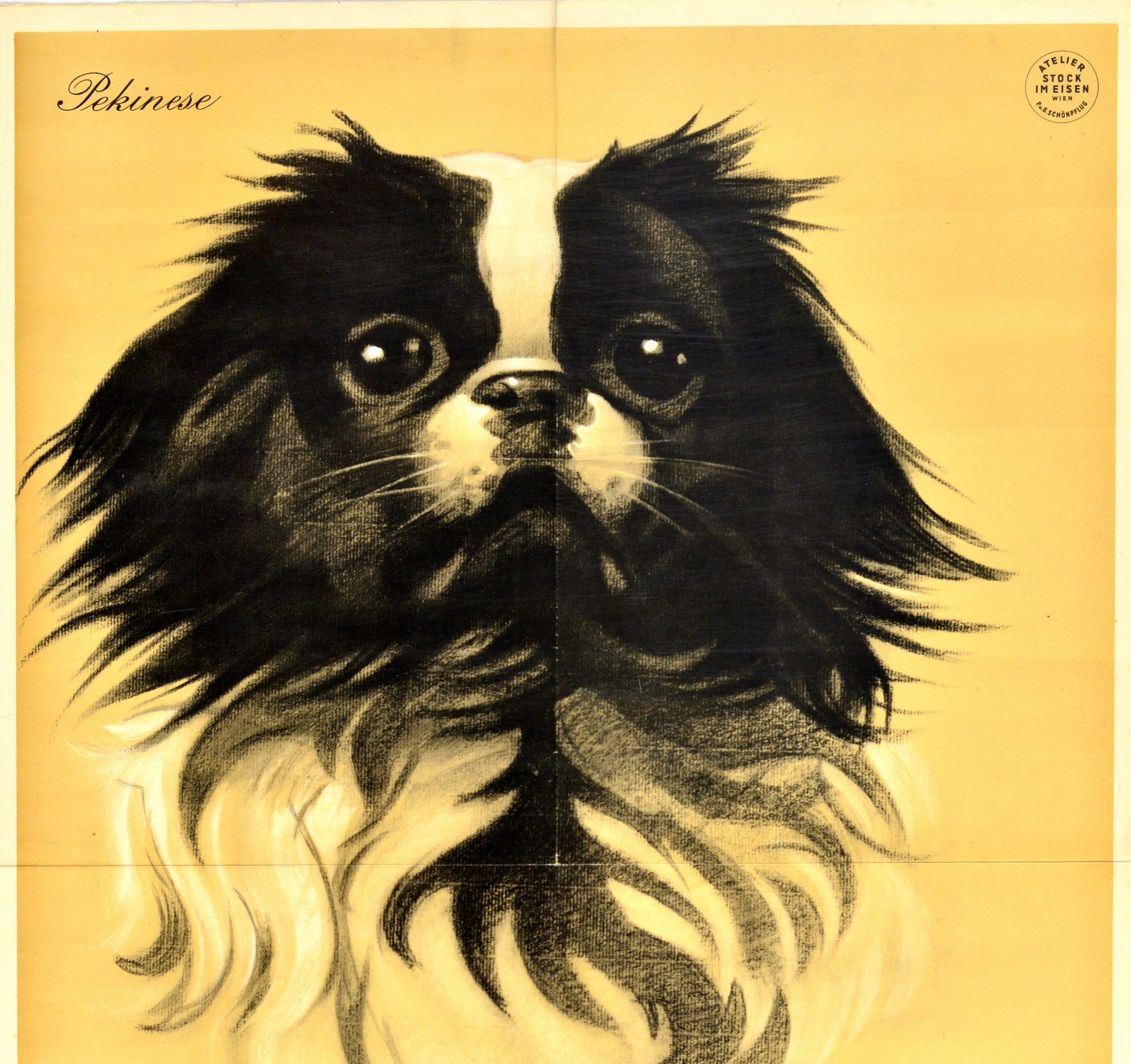 Original vintage advertising poster for Selfix Sport-Strumpfe / Selfix Sports Socks featuring a great black and white illustration of a Pekinese / Pekingese dog against a pale yellow background with the logo and bold black lettering below. One of a