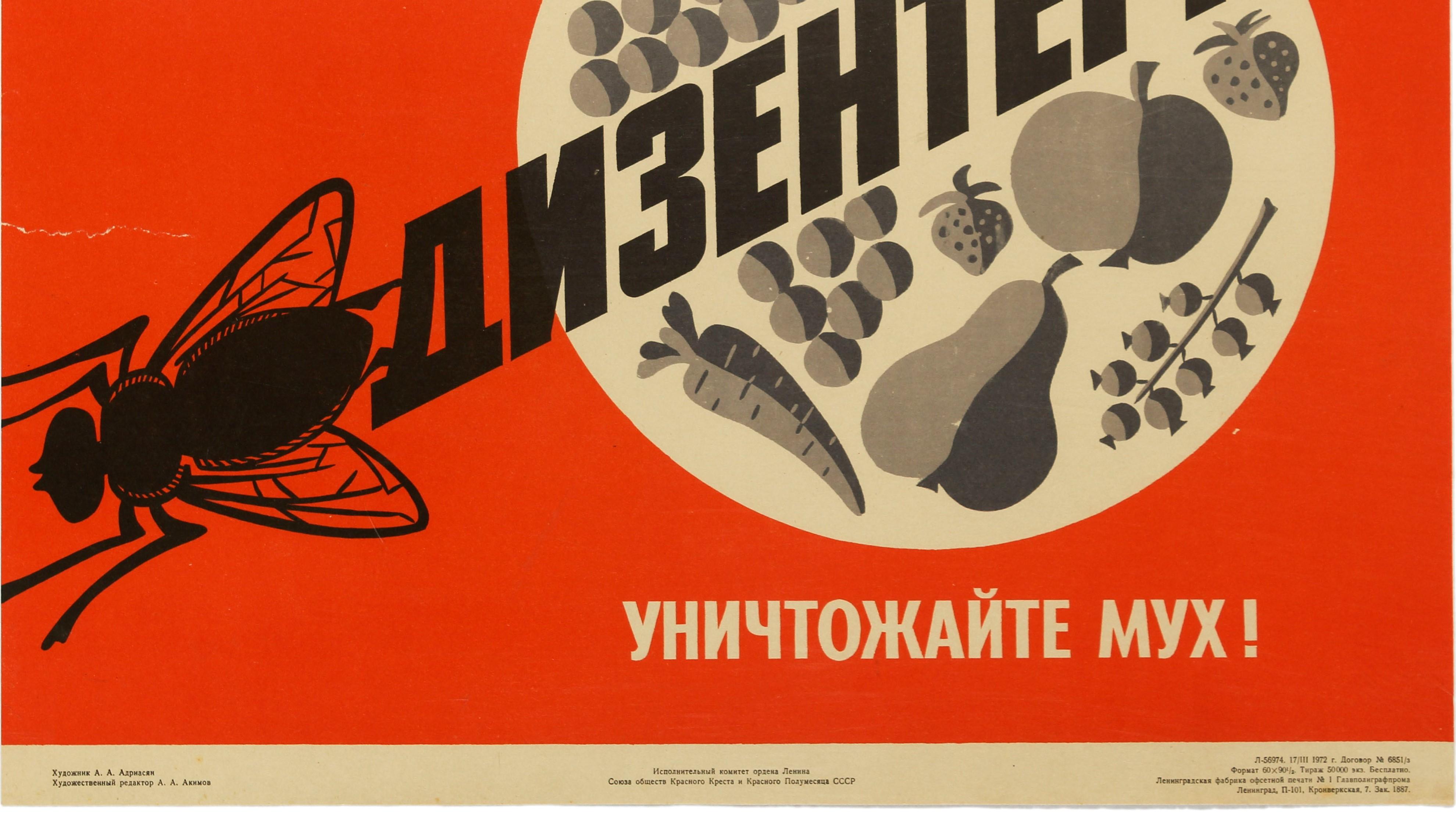 Russian Original Vintage Poster Soviet USSR Health Food Propaganda Dysentery Flies Kill