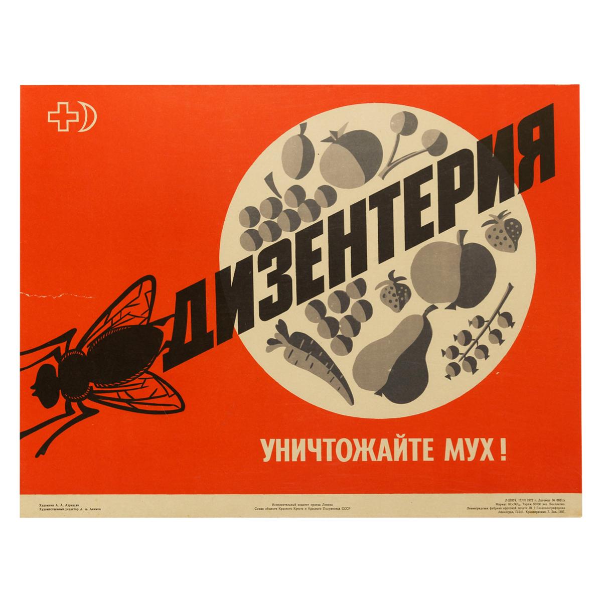 Original Vintage Poster Soviet USSR Health Food Propaganda Dysentery Flies Kill