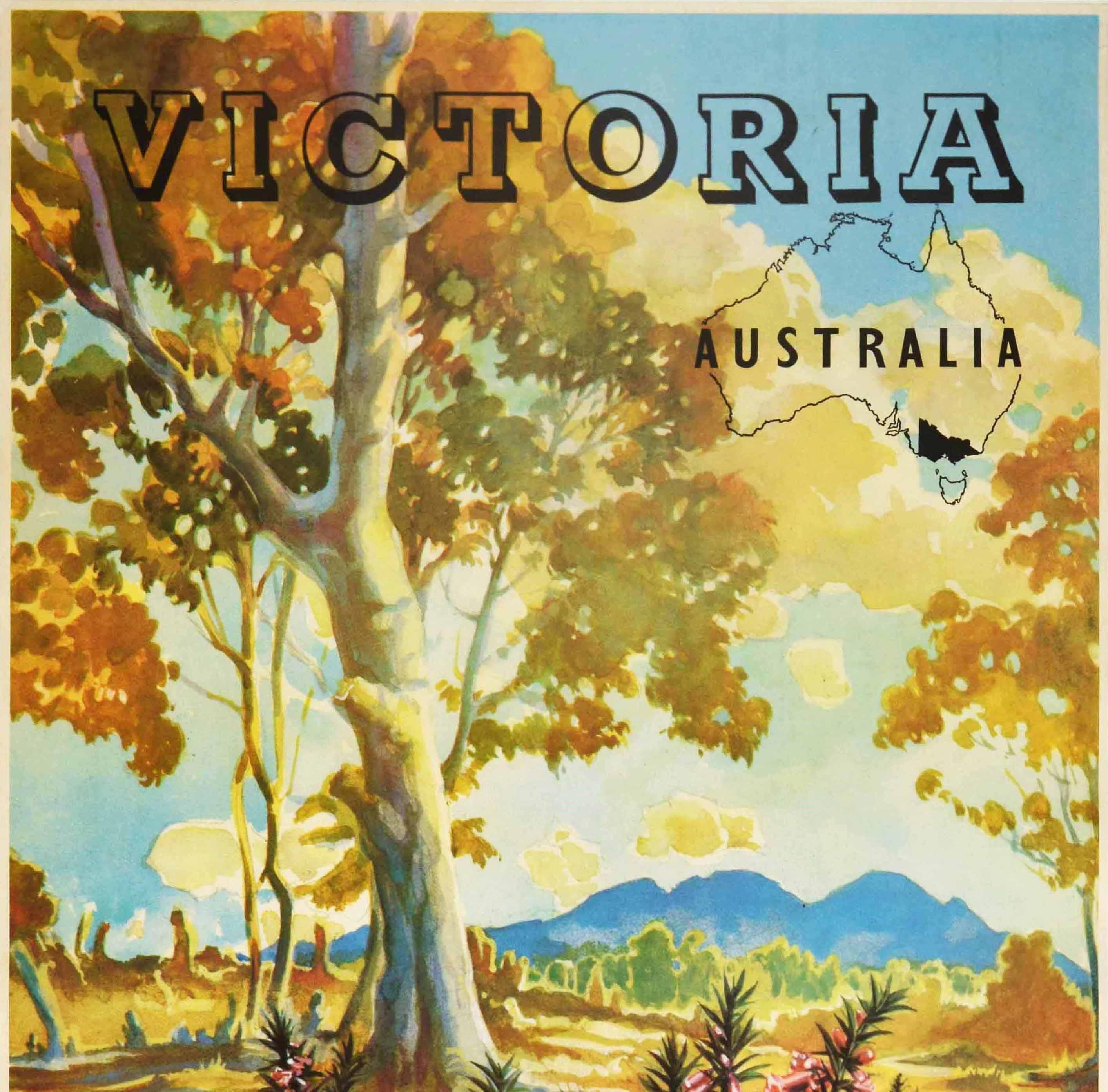 Original vintage travel poster promoting Victoria Australia features a scenic view in a national park with long grass and pink flowers in front of trees and mountains on the horizon, the title in black above with the state of Victoria in south east