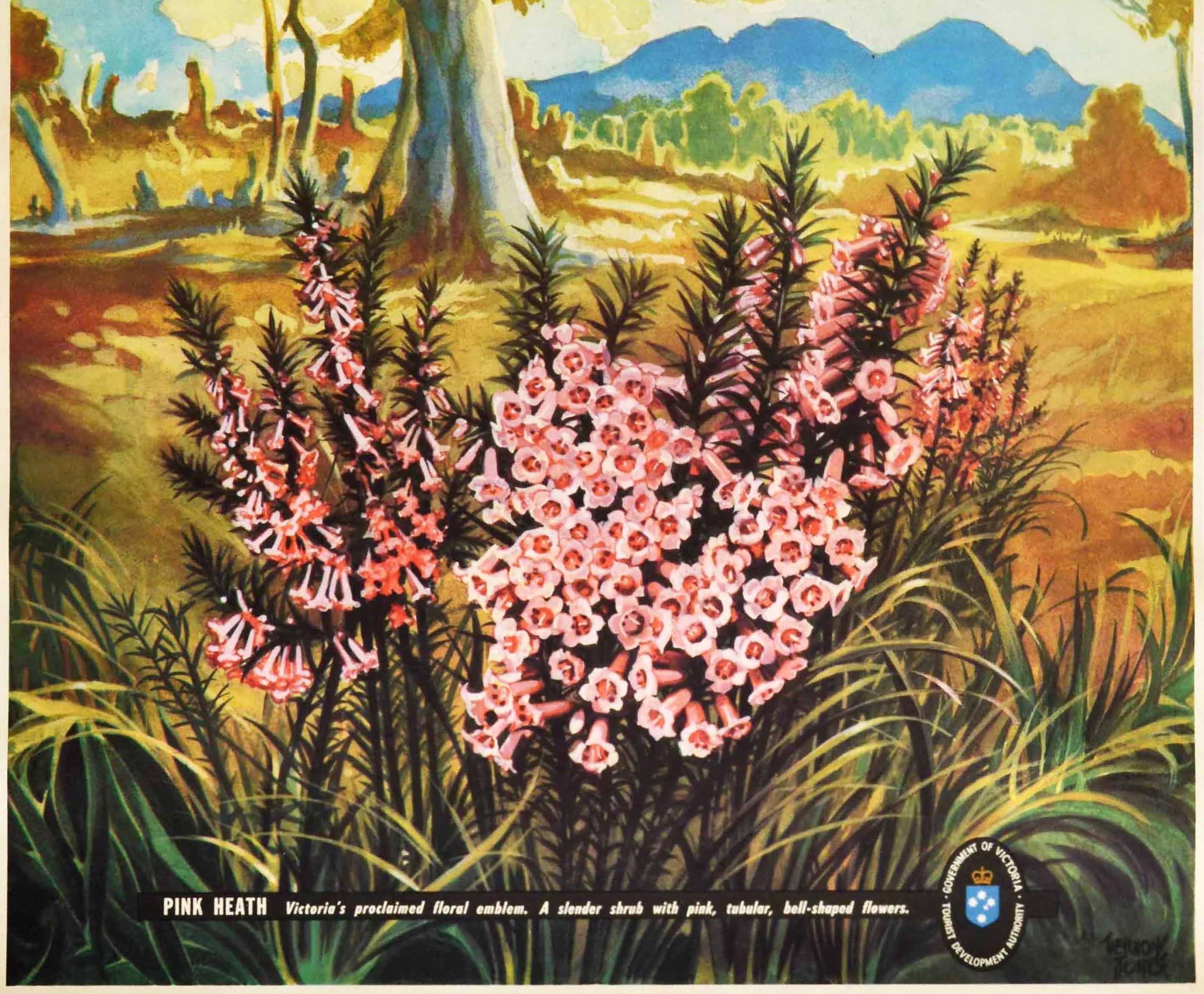 Australian Original Vintage Poster Victoria Australia Pink Heath Flowers Map National Park For Sale