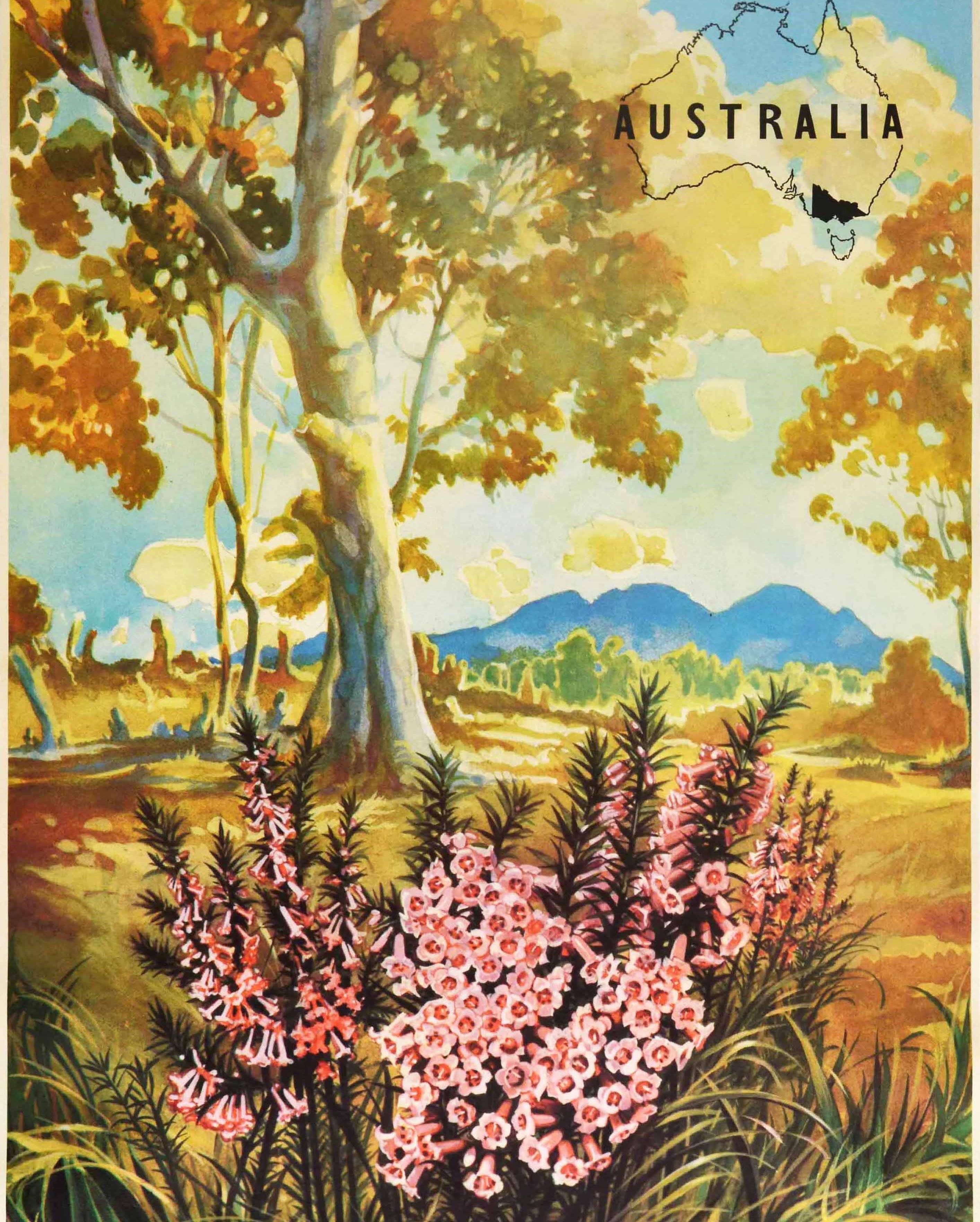 Affiche vintage d'origine Victoria Australia Pink Heath Flowers, Carte des parcs nationaux Excellent état - En vente à London, GB